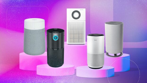 10 Best Air Purifiers 2026
